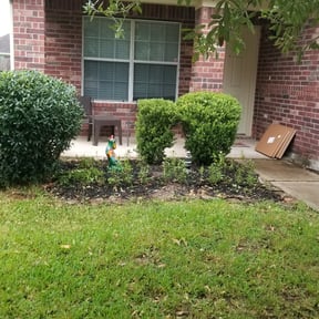 Bush Trimming by Hargett lawn services reviewed on April 20, 2022