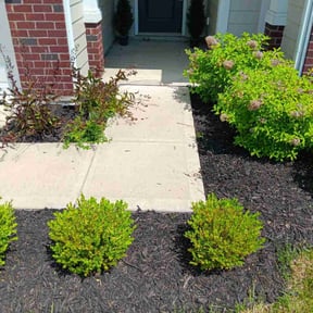 Flower Bed Weeding by Camo's Lawn Care reviewed on June 4, 2025
