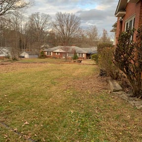 Bush Trimming by F&M LAWNCARE reviewed on June 7, 2022