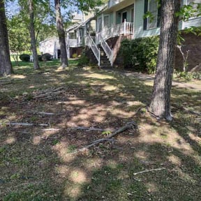 Bush Trimming by GarcÃa-G lawn care service LLC reviewed on May 7, 2022