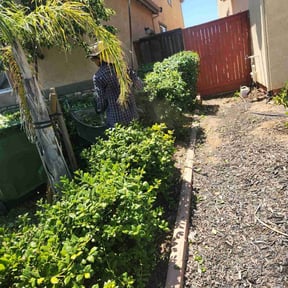 Bush Trimming by Deal&#039;s Lawn Maintenance reviewed on July 27, 2022