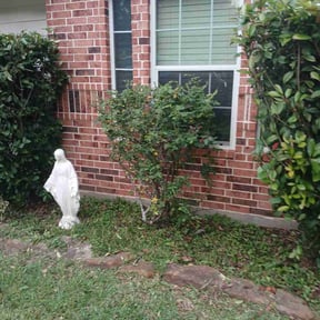 Bush Trimming by Summerall lawn service reviewed on July 27, 2022
