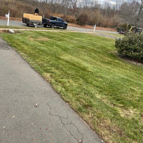 Leaf Removal by Terry Collins reviewed on April 30, 2022