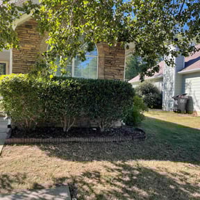 Bush Trimming by Community Lawn reviewed on July 31, 2022