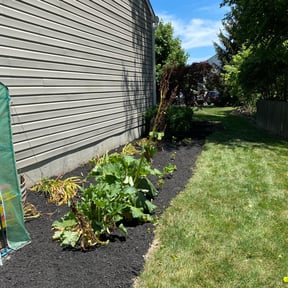 Mulching by Grateful Green Lawn Care reviewed on October 28, 2021