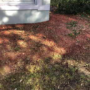 Weeding by SGP Lawn Services reviewed on July 8, 2022