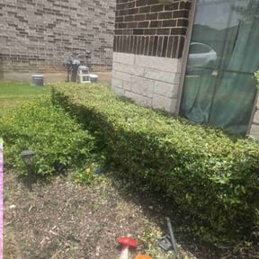 Bush Trimming by Chris’s Lawn Service reviewed on September 9, 2020