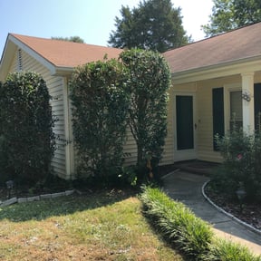 Bush Trimming by Rhodes Services reviewed on November 9, 2024