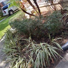 Landscaping by Phill's Property Services reviewed on June 26, 2025