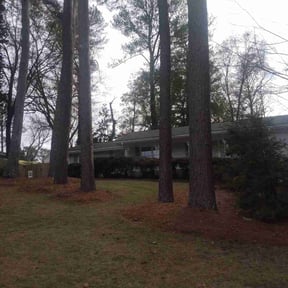 Cleanups by Yard-ache reviewed on February 18, 2025