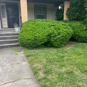 Bush Trimming by Scott Bensing Lawn Care reviewed on June 9, 2022