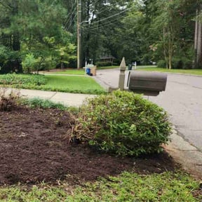 Mulching by Grass gang reviewed on June 13, 2025
