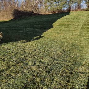 Leaf Removal by Paul Ney reviewed on July 26, 2022