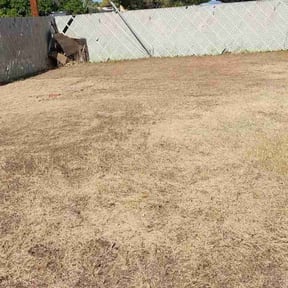 Leaf Removal by Kr lawncare reviewed on January 15, 2024