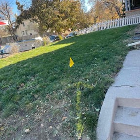 Leaf Removal by Cleaning in the mountains reviewed on November 13, 2024