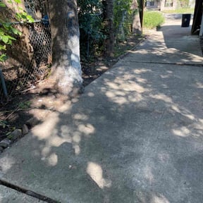 Leaf Removal by TruGreen LawnCare reviewed on November 15, 2024