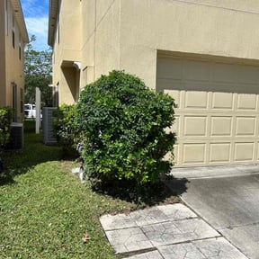 Bush Trimming by Blazing Sun Lawncare & Landscaping, LLC reviewed on September 25, 2021