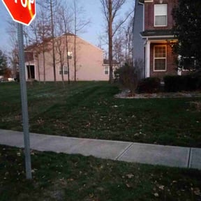 Leaf Removal by García-G lawn care service LLC reviewed on August 18, 2024