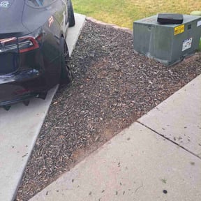 Flower Bed Weeding by HydroPressure plus reviewed on July 9, 2022