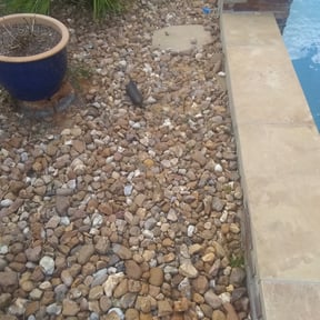 Flower Bed Weeding by J&amp;A Lawn Care reviewed on August 16, 2024