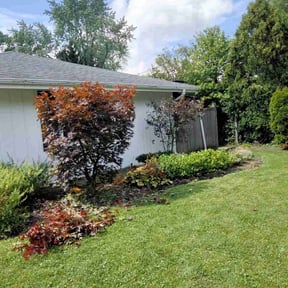Bush Trimming by Verde lawn care reviewed on April 29, 2022