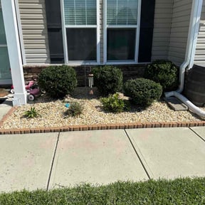 Bush Trimming by B&C Lawn and Landscaping LLC reviewed on August 21, 2024