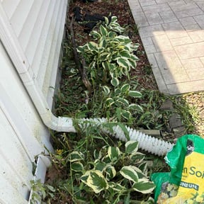 Flower Bed Weeding by Pace Lawn and Garden reviewed on June 24, 2022