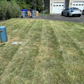 Flower Bed Weeding by Kevreks Lawncare Service’s reviewed on May 15, 2022