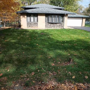 Leaf Removal by Global Landscaping & Lawn Service reviewed on May 12, 2022