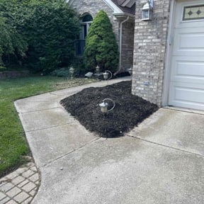 Landscaping by Pro Stripe Lawn Care, LLC reviewed on July 26, 2022