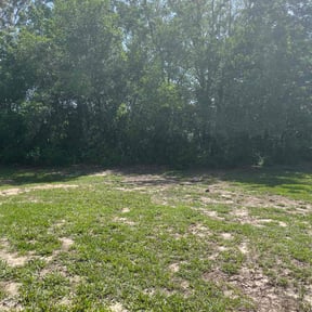 Bush Trimming by SteppingintheGreen LLC reviewed on August 1, 2022