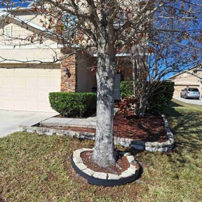 Bush Trimming by MJ lawn care reviewed on June 15, 2022