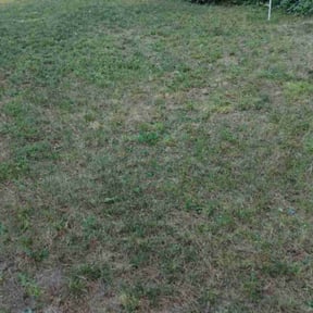 Cleanups by Ralph & sons property maintenance reviewed on April 28, 2022