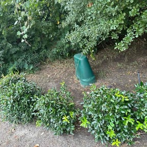 Leaf Removal by GALVRI Lawn and Services reviewed on April 26, 2025