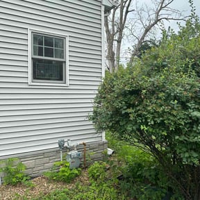 Bush Trimming by K&V LANDSCAPING reviewed on May 13, 2022