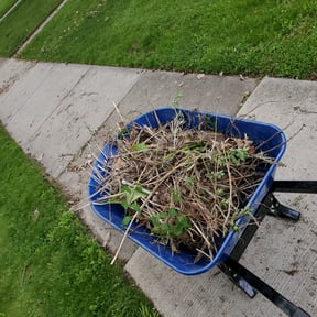 Cleanups by pnp concrete reviewed on June 11, 2022