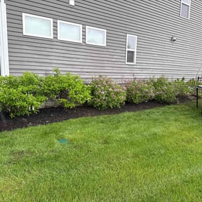 Flower Bed Weeding by Hernandez Family Lawn reviewed on July 7, 2022