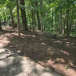 Leaf Removal by Steelrootsconstructionllc reviewed on May 31, 2025