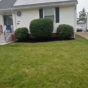 Bush Trimming by A and L lawn Care Professionals reviewed on May 19, 2022