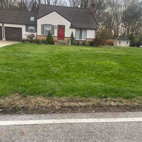 Leaf Removal by Loyalty Repairs reviewed on May 9, 2025