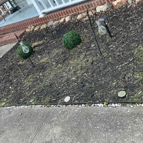 Flower Bed Weeding by The Greener Side Landscape Maintenance And Design LLC reviewed on April 26, 2021