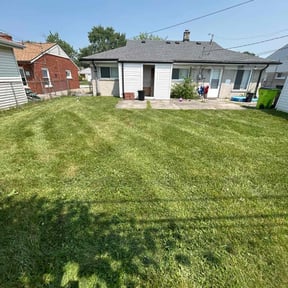 Cleanups by New leaf Landscaping reviewed on November 7, 2022