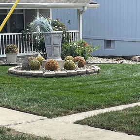 Flower Bed Weeding by Everus lawn care reviewed on July 14, 2022