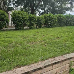 Cleanups by Marisol lawn care reviewed on July 25, 2022