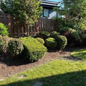 Bush Trimming by Happy grass lawn care reviewed on April 7, 2022