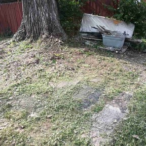Leaf Removal by Lemons Lawn Care reviewed on April 29, 2022