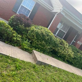 Bush Trimming by Rodriguez Gardening reviewed on May 6, 2022