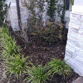 Cleanups by Willie Lawn Care and More LLC reviewed on April 18, 2025
