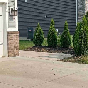 Flower Bed Weeding by New Surroundings reviewed on June 28, 2022