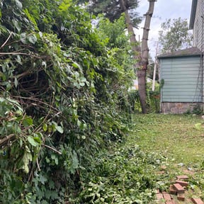Bush Trimming by Jim's Lawn Service reviewed on November 13, 2021